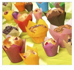 Tulip Cup 16cl assort couleurs Violet Rose Orange Jaune Rouge Vert